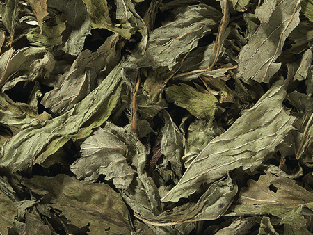 Peppermint
(HERBAL TEA)